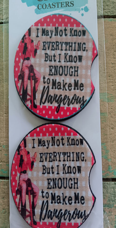 I Know Enough  To Make Me Dangerous Car Coasters - Snarky Junkie